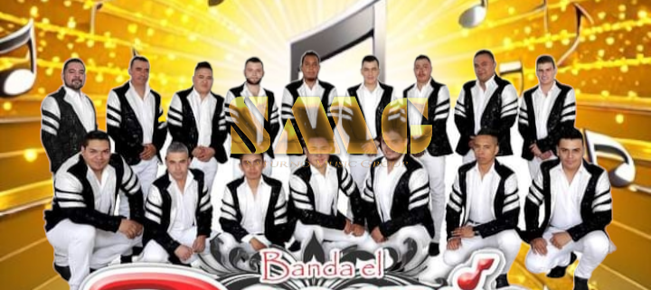 Contrataciones y Precio de Banda El Rosario de Michoacan Cel 4432419132