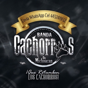 Banda Cachorros Contrataciones Cel 4432419132 Banda Cachorros Contrataciones Cel 4432419132