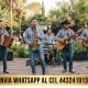 Grupos Musicales en Morelia Contrataciones Cel 4432419132