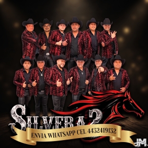 Grupo Silvera 2 de Morelia Contrataciones Cel 4432419132