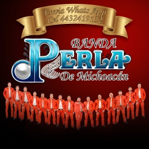 Numero de Telefono de Banda Perla de Michoacan