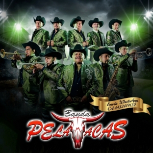 Banda Pelavacas Contrataciones Cel 4432419132